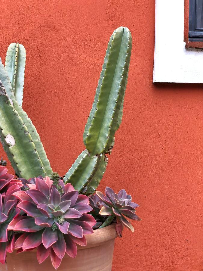 Chácara Cortijo El Pozuelo Tarifa